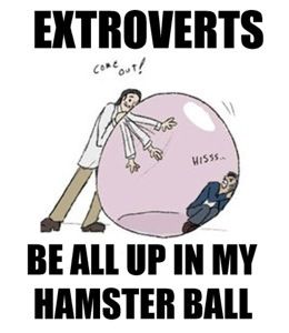 extroverts