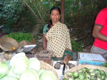 Sharada Hanumante lost her husband a few years ago. Sheis supporting her family by selling tomatoes, onions. potatoes etc. at a vegetable shop in the market, with a Rang De loan. Image Source: rangde.org  