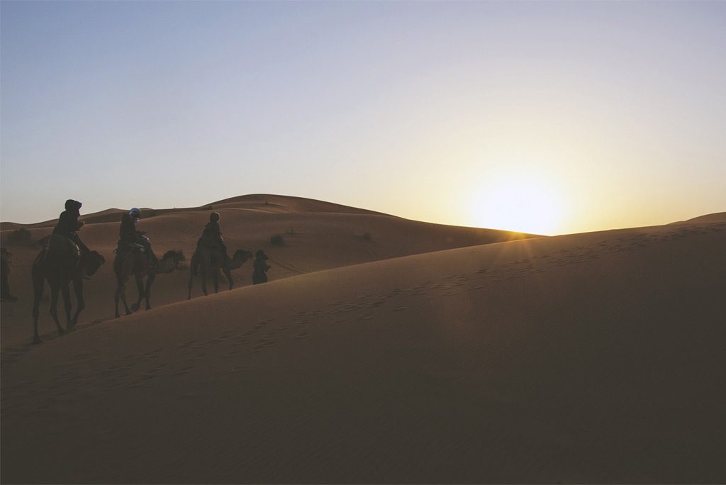 desert-travel